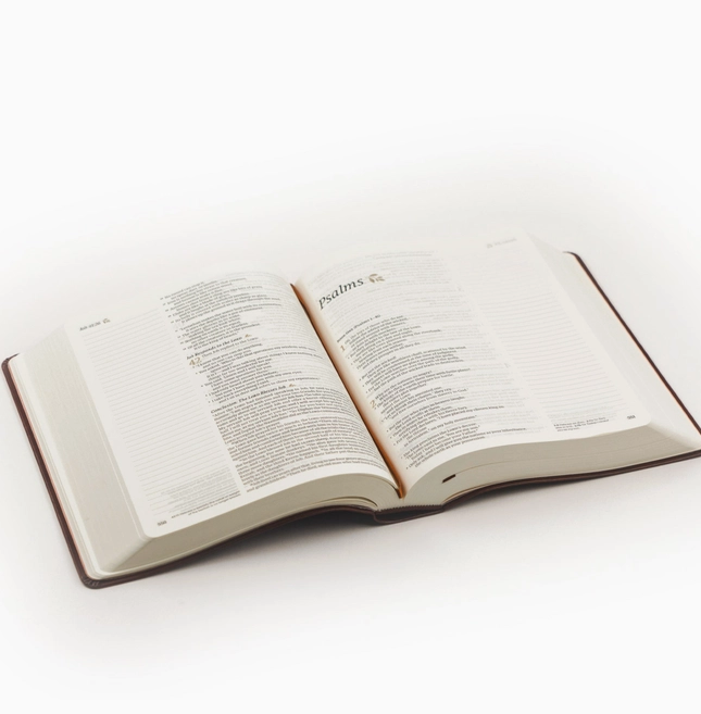 NLT Notetaking Bible: Santa Elena Theme