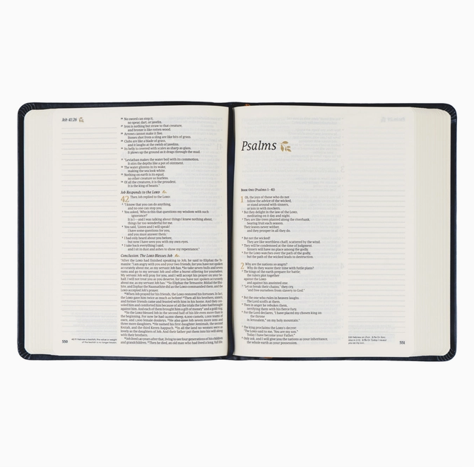NLT Notetaking Bible: Versailles Theme