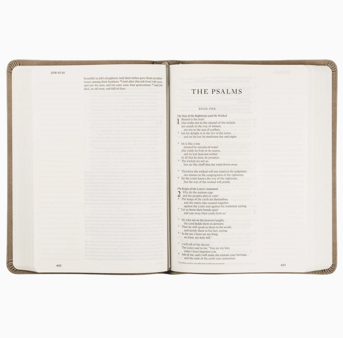 ESV Large Print Journaling Bible: Nara Theme