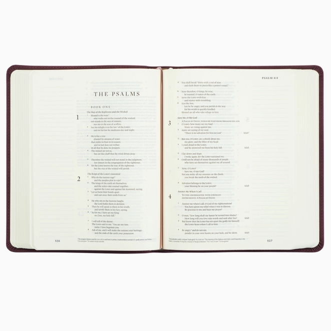 ESV Journaling Bible: Helena Theme