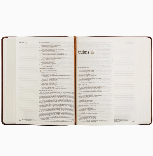 NLT Notetaking Bible: Santa Elena Theme