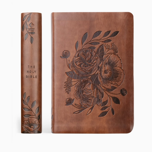 NLT Compact Bible: Aurora Theme