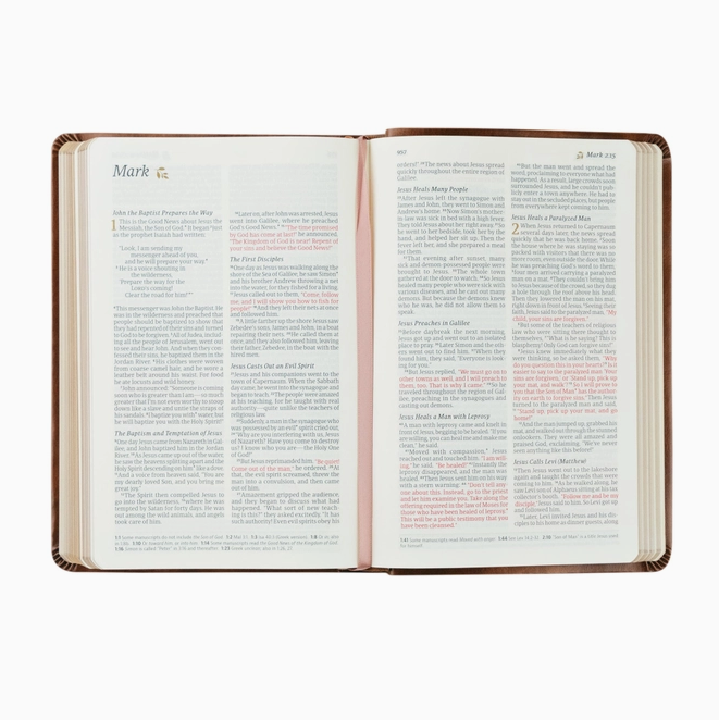 NLT Compact Bible: Aurora Theme