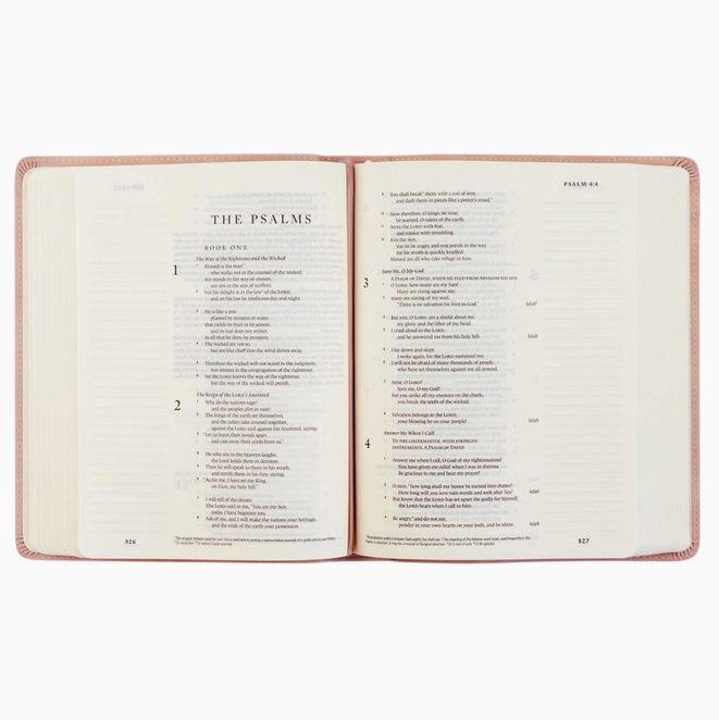 ESV Journaling Bible: Shiloh Theme
