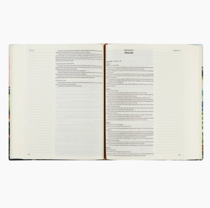 KJV Large Print Notetaking Bible: Coram Theme