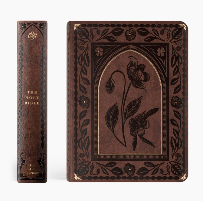 Esv Journaling Bible: Palma Theme