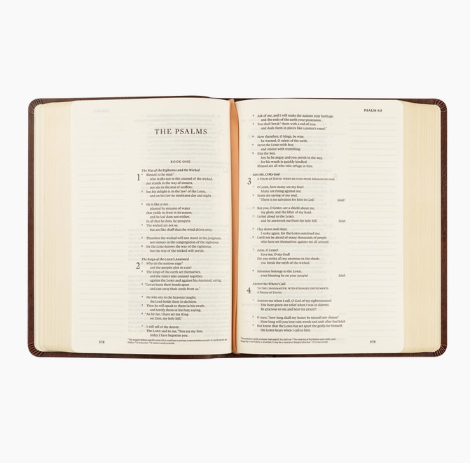 Esv Journaling Bible: Palma Theme