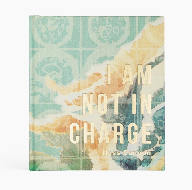 Bible Study: I Am Not in Charge By Ness Cannon